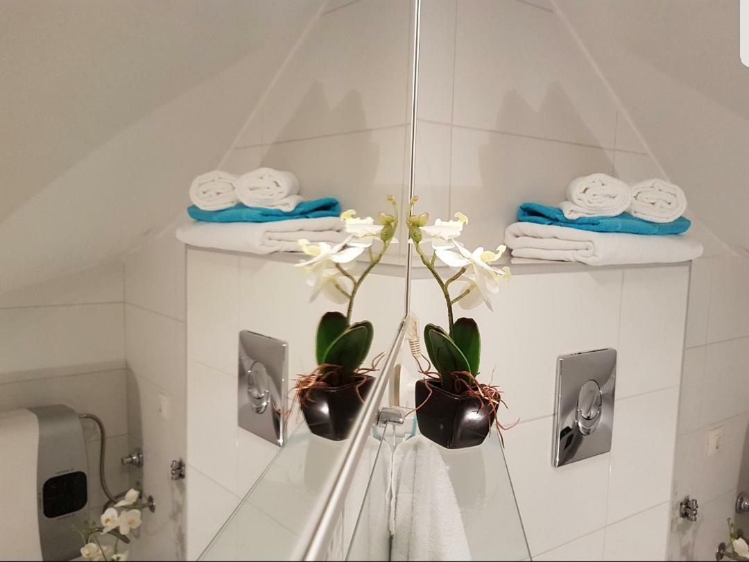 Studio Apartment Lily Rovinj Extérieur photo